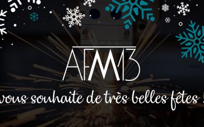 AFM13 vous souhaite de très belles fêtes de fin d’année !